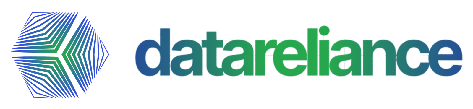 Data Reliance Logo